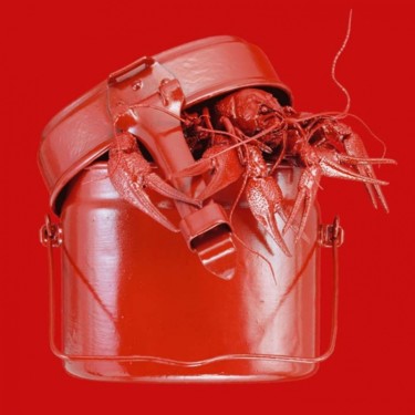 Фотография под названием "Red Lunch I." - Van O, Подлинное произведение искусства, Пленочная фотография