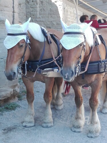 Fotografia zatytułowany „Chevaux” autorstwa Vanessa Bionnier, Oryginalna praca