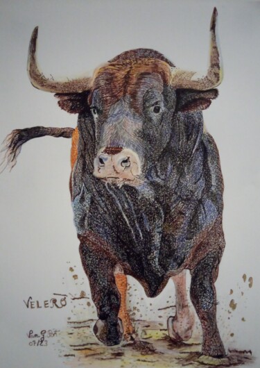 Drawing titled "VELERO" by Vanessa Garcia Artunedo, Original Artwork, Ink