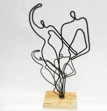 Escultura titulada "Sculpture en fil, c…" por Vanessa Renoux, Obra de arte original, Alambre