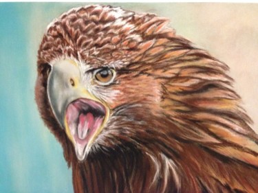 Painting titled "Aigle" by Vanessa Terreros, Original Artwork, Pastel