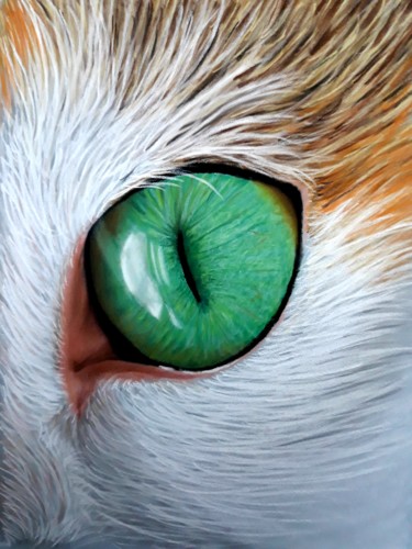 Tekening getiteld "Cat Eye" door Nesdesign, Origineel Kunstwerk, Pastel