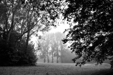 Fotografie mit dem Titel "Foggy Forest" von Vanja Rosenthal, Original-Kunstwerk, Digitale Fotografie