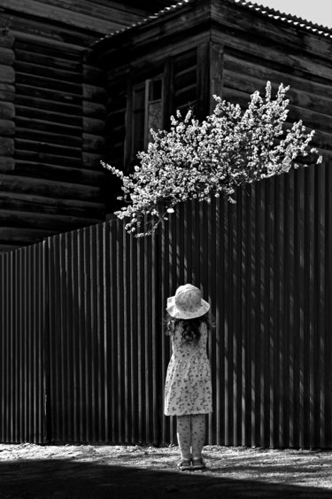 Фотография под названием "Spring" - Varvara Shtern, Подлинное произведение искусства, Цифровая фотография