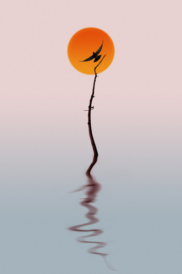 Fotografia zatytułowany „Sunset” autorstwa Varvara Shtern, Oryginalna praca, Fotografia cyfrowa
