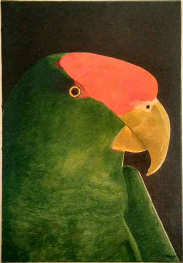 Pittura intitolato "PARROT / Papagaio" da Vasco Fernandes, Opera d'arte originale, Olio
