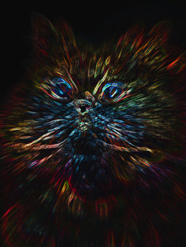 Arte digital titulada "Flash Cat" por Vasco Fernandes, Obra de arte original, Foto-montaje