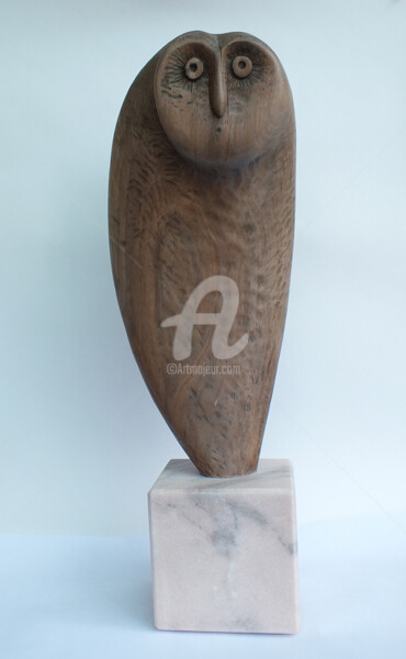 Sculptuur getiteld "OWL" door Vasile Cheptanaru, Origineel Kunstwerk, Hout