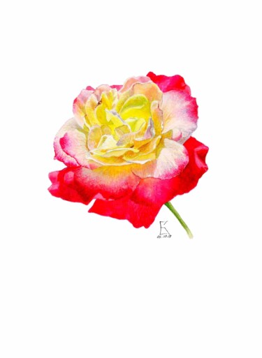 Pintura intitulada "ROSE BUD 2" por Vasilisa, Obras de arte originais, Aquarela