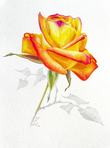 Pintura intitulada "Orange rose" por Vasilisa, Obras de arte originais, Lápis