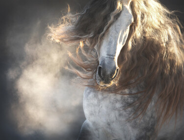 Fotografía titulada "spanish stallion" por Василиса Штапакова, Obra de arte original, Fotografía digital Montado en Vidrio