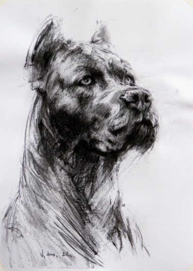 Drawing titled ""Песик #6"" by Vasyl Kovach, Original Artwork, Charcoal