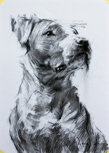Disegno intitolato ""Doggy #8"" da Vasyl Kovach, Opera d'arte originale, Carbone