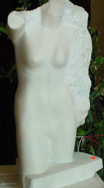 Sculpture titled "torso" by Vasyl, Original Artwork