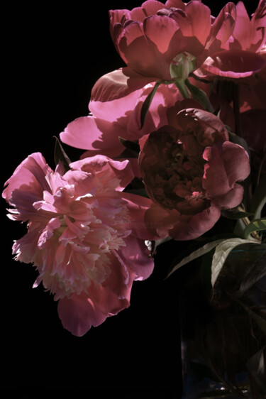 Photography titled "Flower_11632" by Michael Vdovin, Original Artwork, Digital Photography