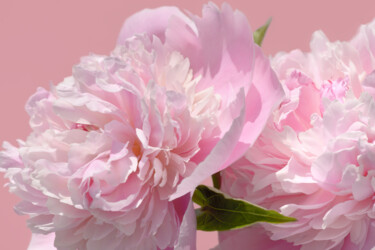 Photography titled "Flower_18889" by Michael Vdovin, Original Artwork, Digital Photography