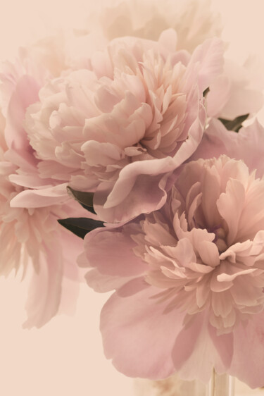 Photography titled "Flowerissimo_17107" by Michael Vdovin, Original Artwork, Digital Photography