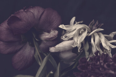 Photography titled "Flowerissimo_17433" by Michael Vdovin, Original Artwork, Digital Photography