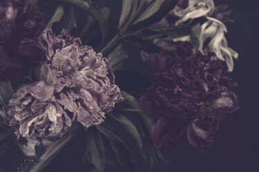 Photography titled "Flowerissimo_17431" by Michael Vdovin, Original Artwork, Digital Photography