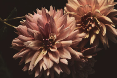Fotografie mit dem Titel "Flowerissimo_15695" von Michael Vdovin, Original-Kunstwerk, Digitale Fotografie