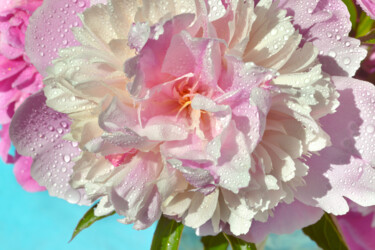 Photography titled "Flower_12174" by Michael Vdovin, Original Artwork, Digital Photography