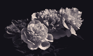 Photography titled "Flowerissimo_11744" by Michael Vdovin, Original Artwork, Digital Photography