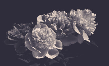 Photography titled "Flowerissimo_11746" by Michael Vdovin, Original Artwork, Digital Photography