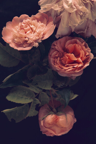Photography titled "Flowerissimo_16242" by Michael Vdovin, Original Artwork, Digital Photography