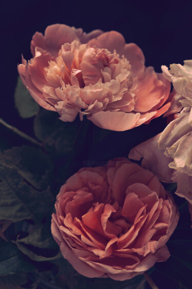Photography titled "Flowerissimo_16227" by Michael Vdovin, Original Artwork, Digital Photography