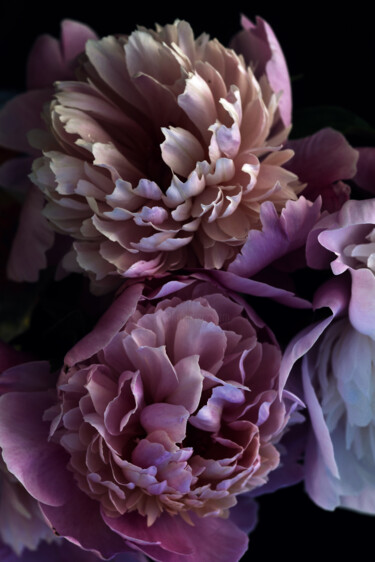 Fotografie getiteld "Flowerissimo_16882" door Michael Vdovin, Origineel Kunstwerk, Digitale fotografie