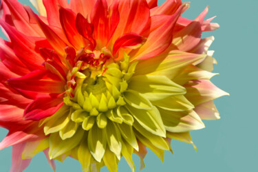Photography titled "Flowerissimo_14629" by Michael Vdovin, Original Artwork, Digital Photography