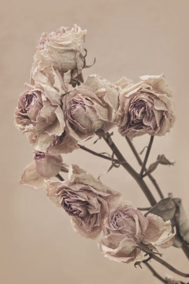 Photographie intitulée "Flowerissimo_12737" par Michael Vdovin, Œuvre d'art originale, Photographie numérique
