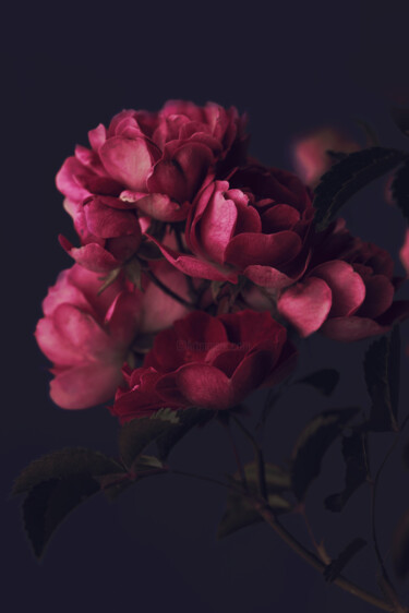 Photography titled "Flowerissimo_18978" by Michael Vdovin, Original Artwork, Digital Photography