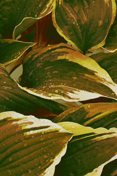 Фотография под названием "Flowerissimo_17358" - Michael Vdovin, Подлинное произведение искусства, Цифровая фотография