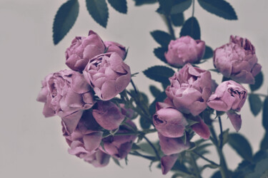 Фотография под названием "Flowerissimo_11056" - Michael Vdovin, Подлинное произведение искусства, Цифровая фотография