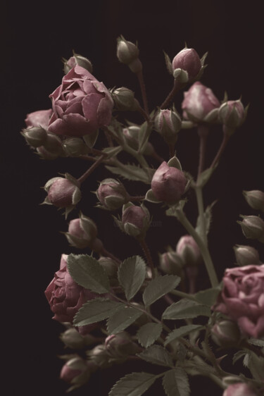 Photography titled "Flowerissimo_19174" by Michael Vdovin, Original Artwork, Digital Photography