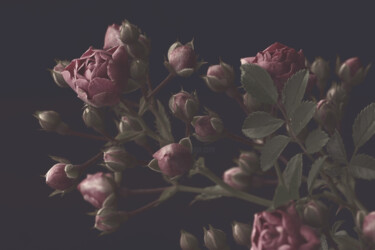 Фотография под названием "Flowerissimo_19177" - Michael Vdovin, Подлинное произведение искусства, Цифровая фотография