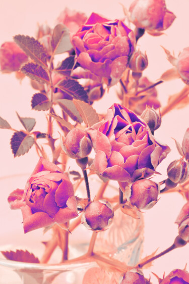 Fotografie mit dem Titel "Flowerissimo_10473" von Michael Vdovin, Original-Kunstwerk, Digitale Fotografie