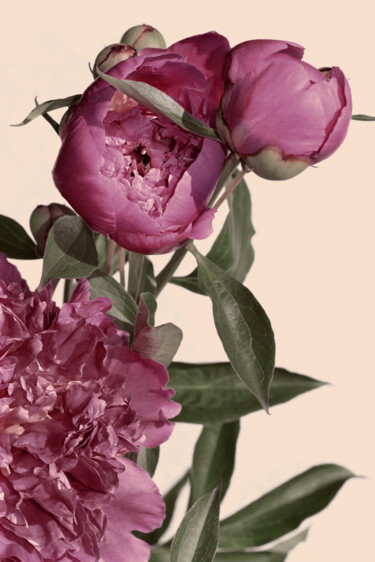 Photographie intitulée "Flowerissimo_17952" par Michael Vdovin, Œuvre d'art originale, Photographie numérique