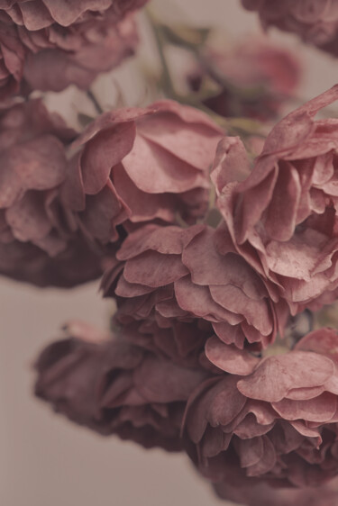 Photographie intitulée "Flowerissimo_13951" par Michael Vdovin, Œuvre d'art originale, Photographie numérique