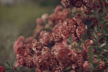 Photographie intitulée "Flowerissimo_14072" par Michael Vdovin, Œuvre d'art originale, Photographie numérique