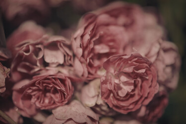 Photographie intitulée "Flowerissimo_13593" par Michael Vdovin, Œuvre d'art originale, Photographie numérique