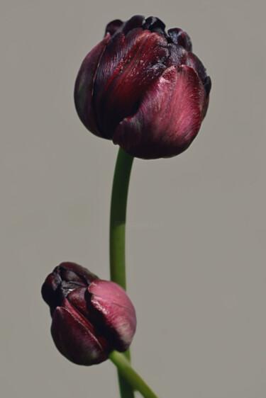 Fotografia intitulada "Flowerissimo_17542" por Michael Vdovin, Obras de arte originais, Fotografia digital