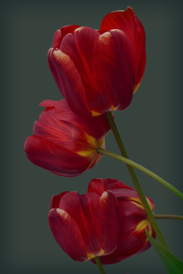 Fotografia zatytułowany „Flowerissimo_18192” autorstwa Michael Vdovin, Oryginalna praca, Fotografia cyfrowa