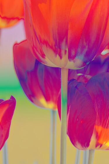 Fotografía titulada "Flowerissimo_17864" por Michael Vdovin, Obra de arte original, Fotografía digital