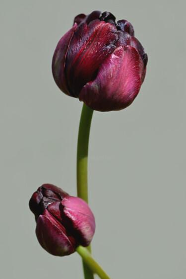 Photographie intitulée "Flowerissimo_17543" par Michael Vdovin, Œuvre d'art originale, Photographie numérique