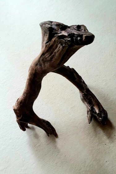 Sculpture titled "Dinosaurier abstrakt" by Vera Boldt, Original Artwork, Wood