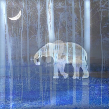 Digitale Kunst mit dem Titel "Mondlicht" von Vera Laake-Foto-Art, Original-Kunstwerk