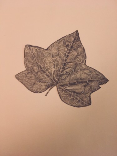 Dessin intitulée "Feuilles. Planche 1…" par Victoria, Œuvre d'art originale, Crayon