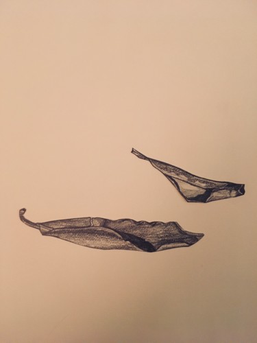 Zeichnungen mit dem Titel "Feuilles. Planche 2…" von Victoria, Original-Kunstwerk, Bleistift